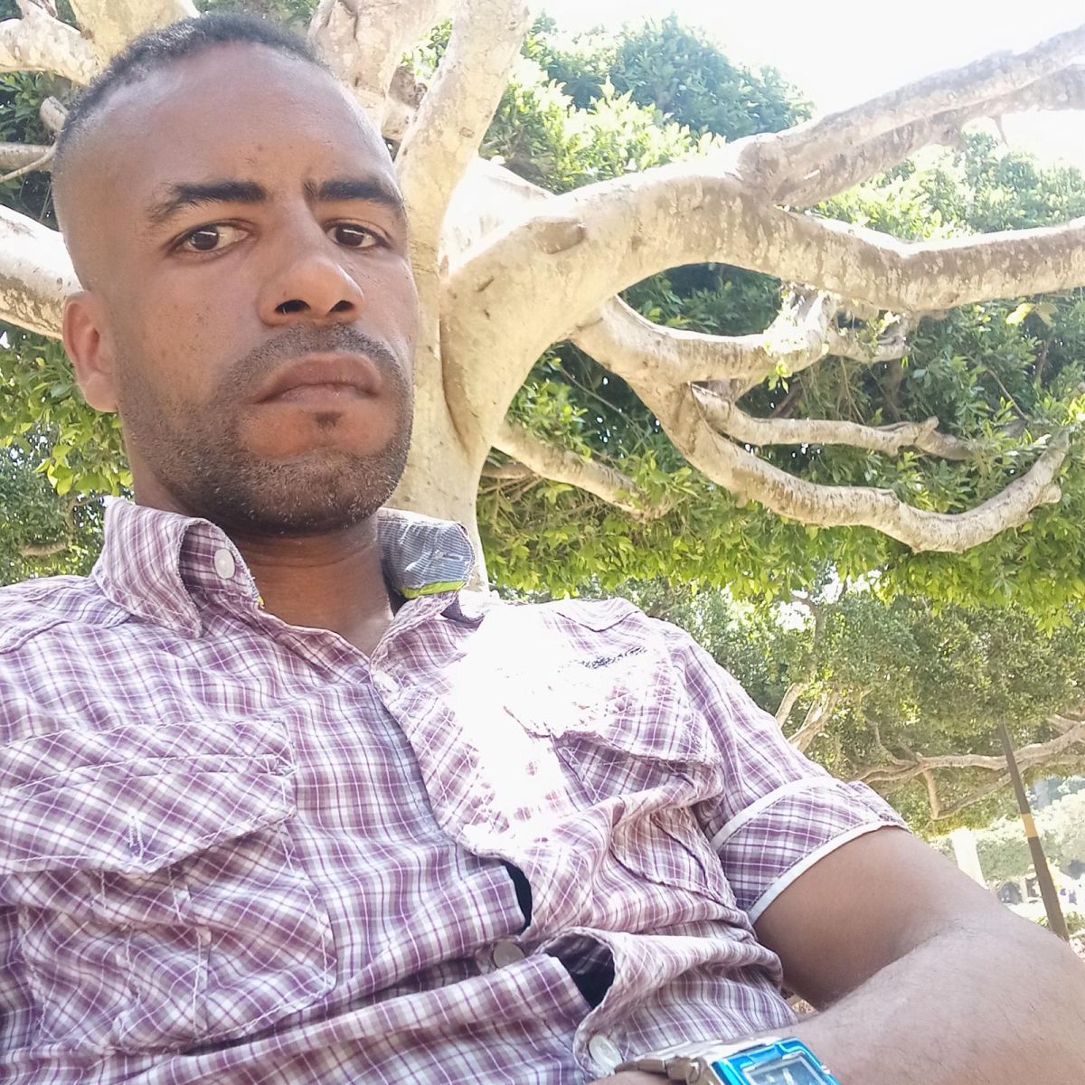 Hicham