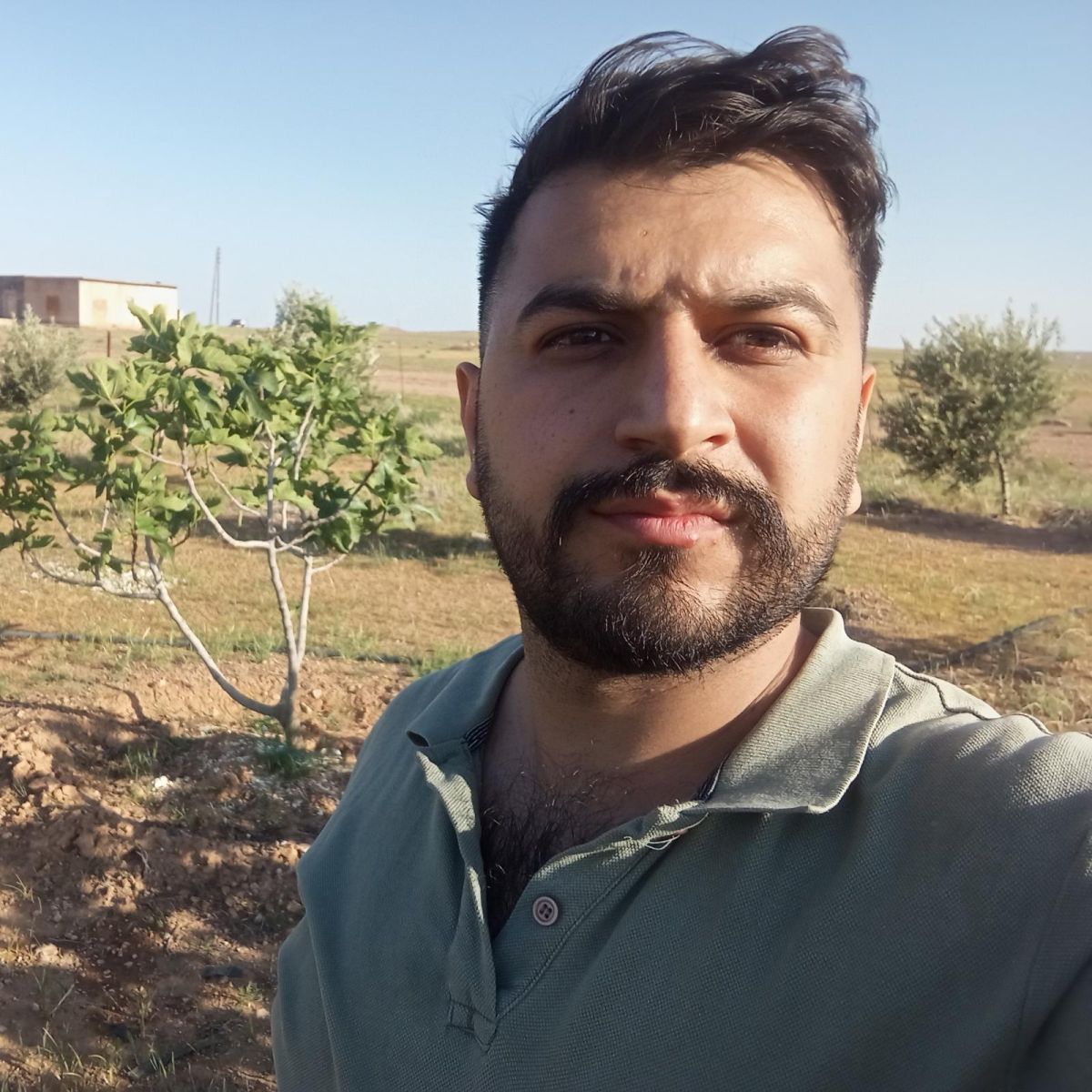 Amed