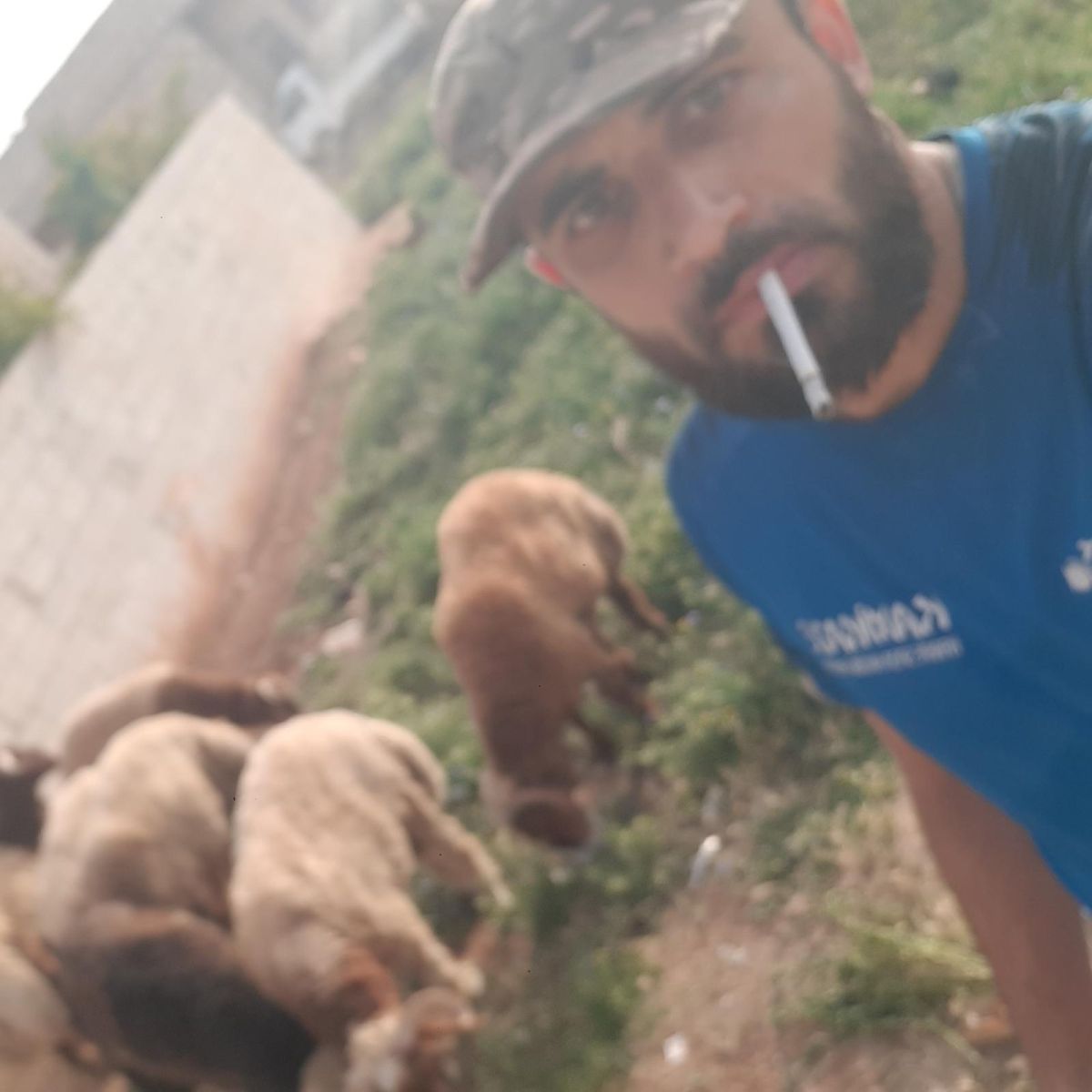محمد
